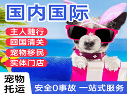 桃仙航空快运国际宠物托运 【国
